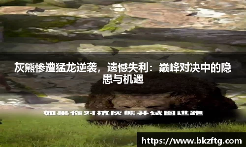 优游国际