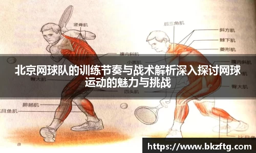 优游国际